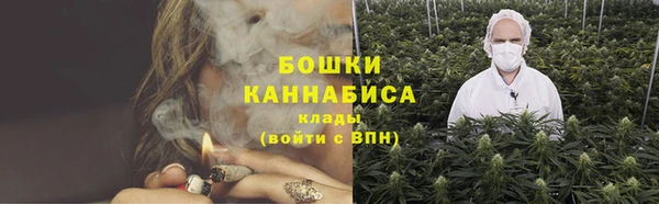 хмурый Бронницы
