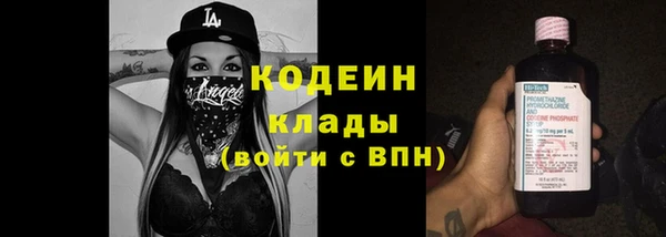 spice Бородино
