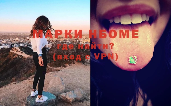 spice Бородино