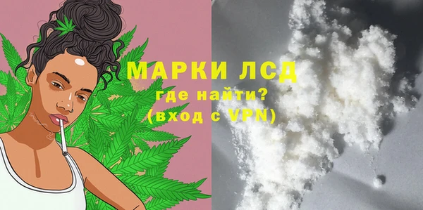 spice Бородино