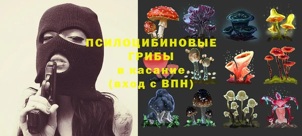 хмурый Бронницы