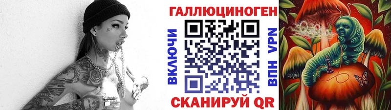Псилоцибиновые грибы Psilocybine cubensis  Гудермес 